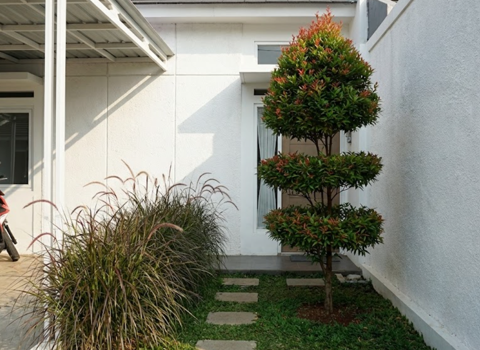 Trik dekorasi taman rumah subsidi terlihat mewah dengan pot seragam.